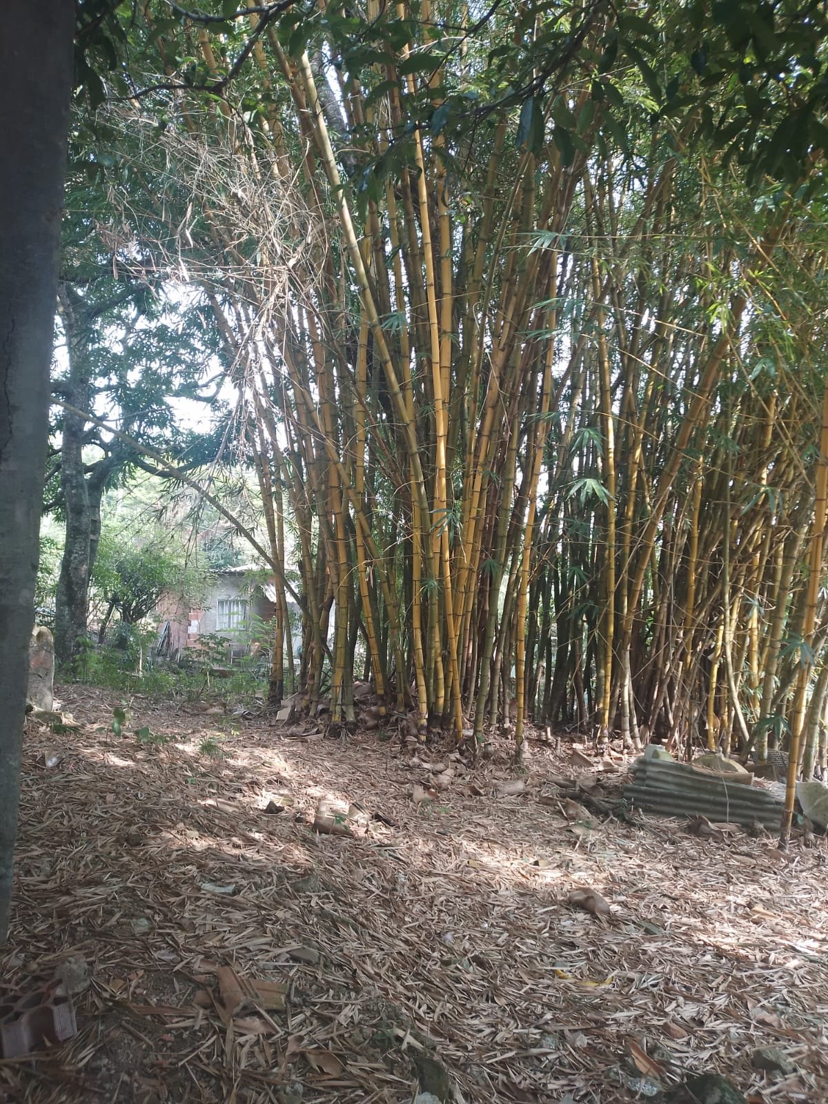 CS00010 - Sítio com Área 5.000mts 2  mais 3 terrenos e 1  lotes 60/61/62 em  Itaboraí, Rj.