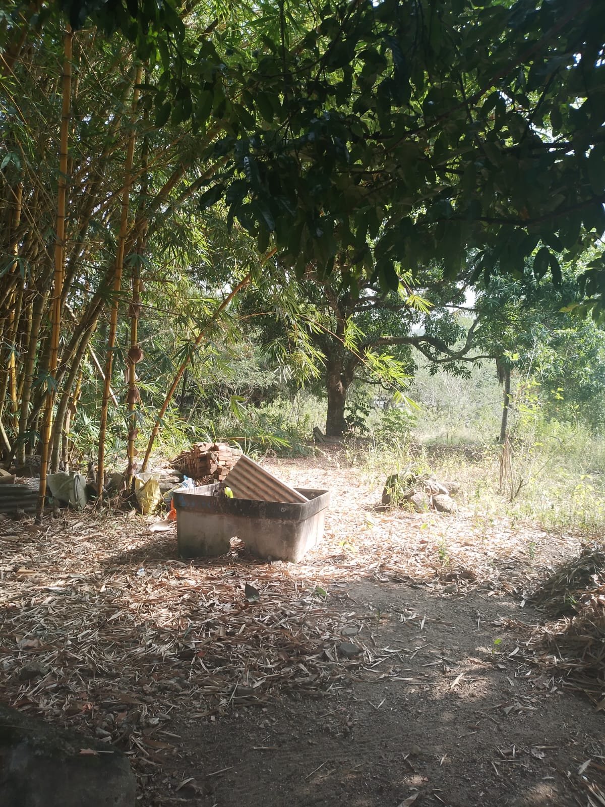 CS00010 - Sítio com Área 5.000mts 2  mais 3 terrenos e 1  lotes 60/61/62 em  Itaboraí, Rj.