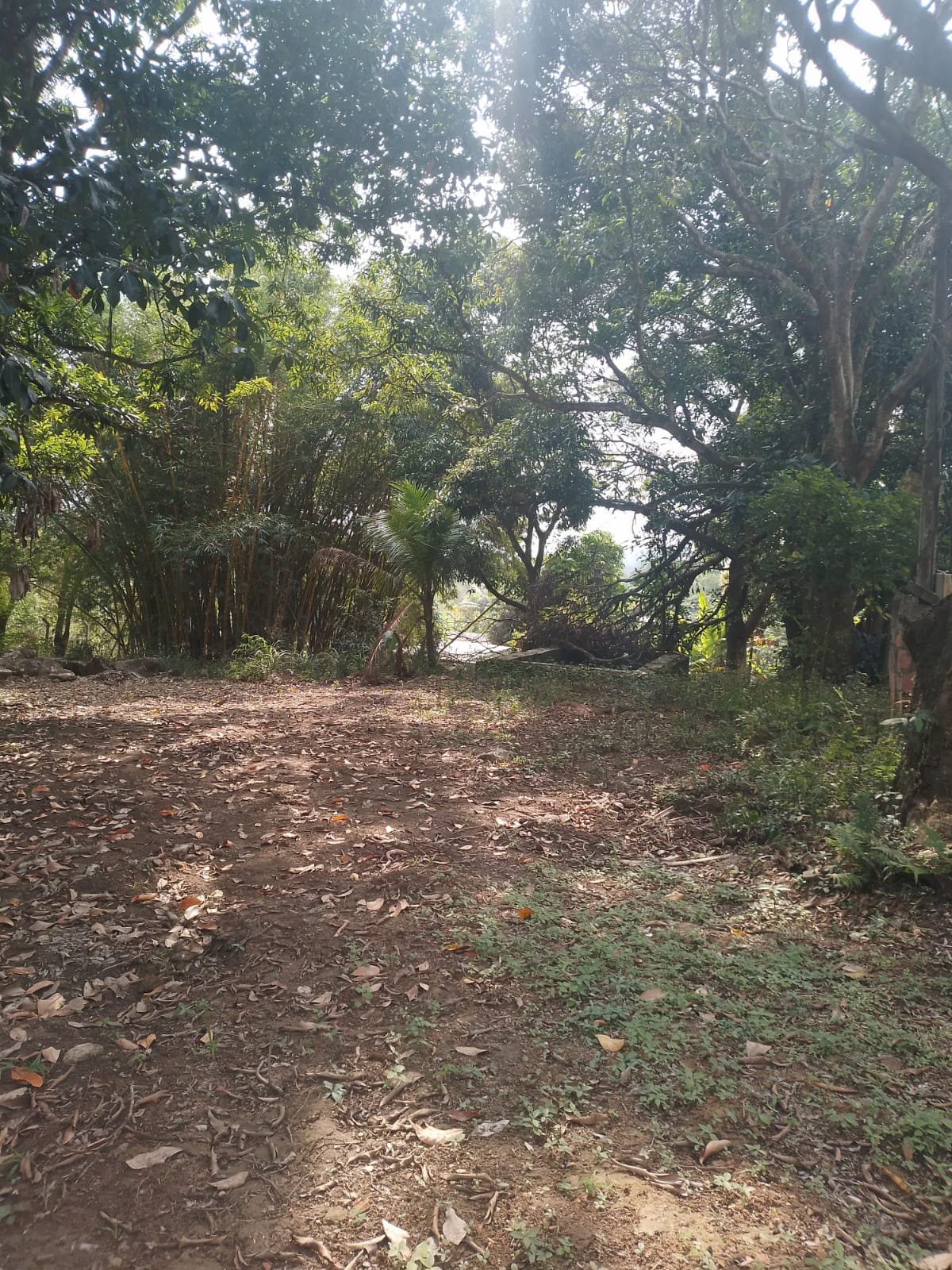 CS00010 - Sítio com Área 5.000mts 2  mais 3 terrenos e 1  lotes 60/61/62 em  Itaboraí, Rj.