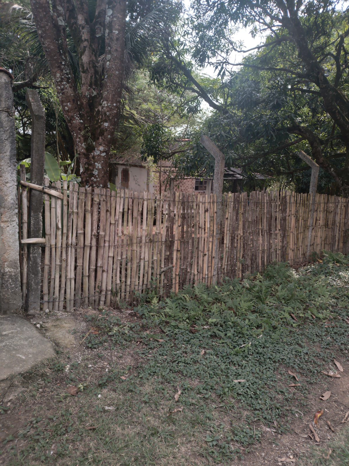 CS00010 - Sítio com Área 5.000mts 2  mais 3 terrenos e 1  lotes 60/61/62 em  Itaboraí, Rj.