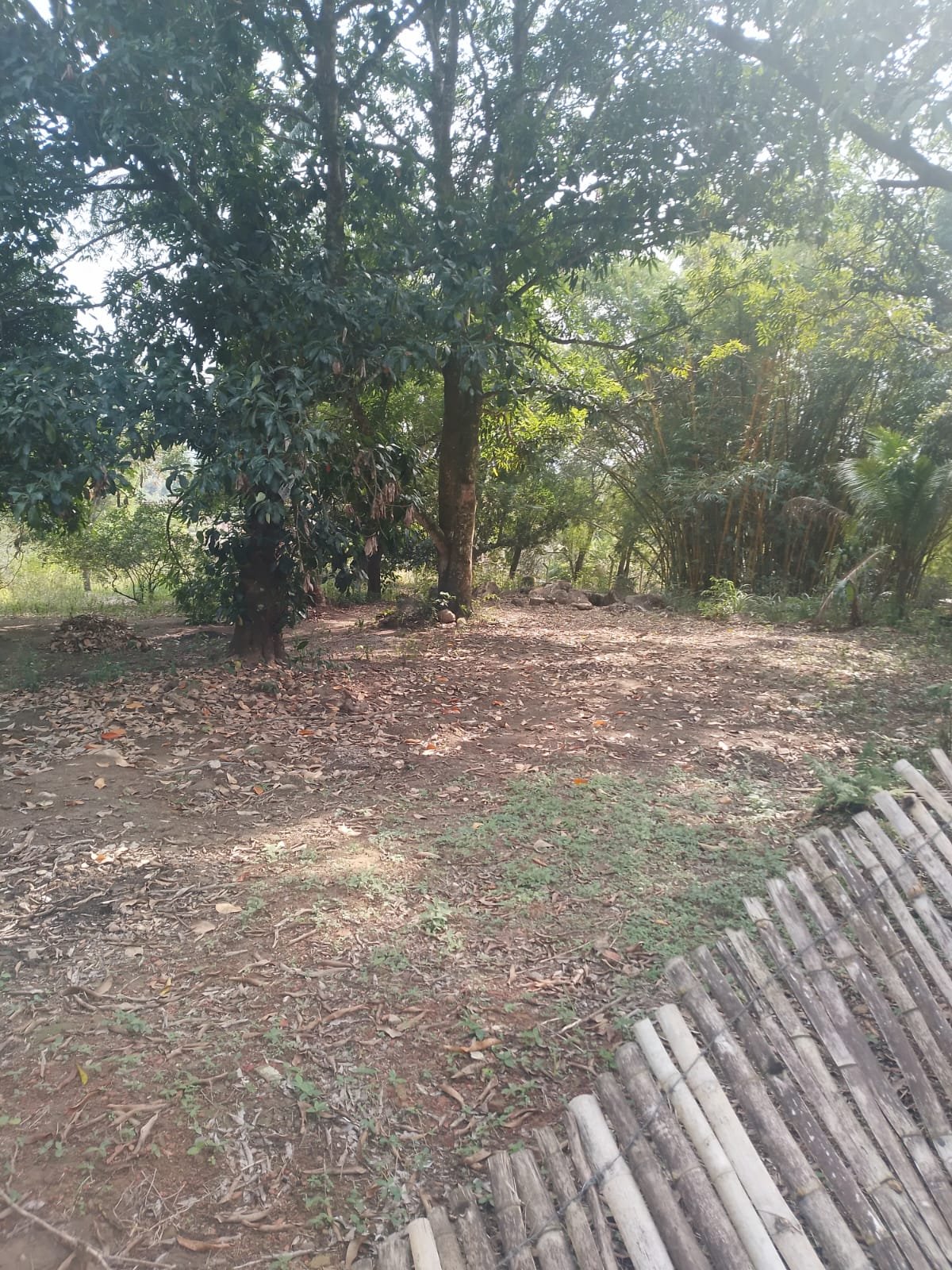 CS00010 - Sítio com Área 5.000mts 2  mais 3 terrenos e 1  lotes 60/61/62 em  Itaboraí, Rj.