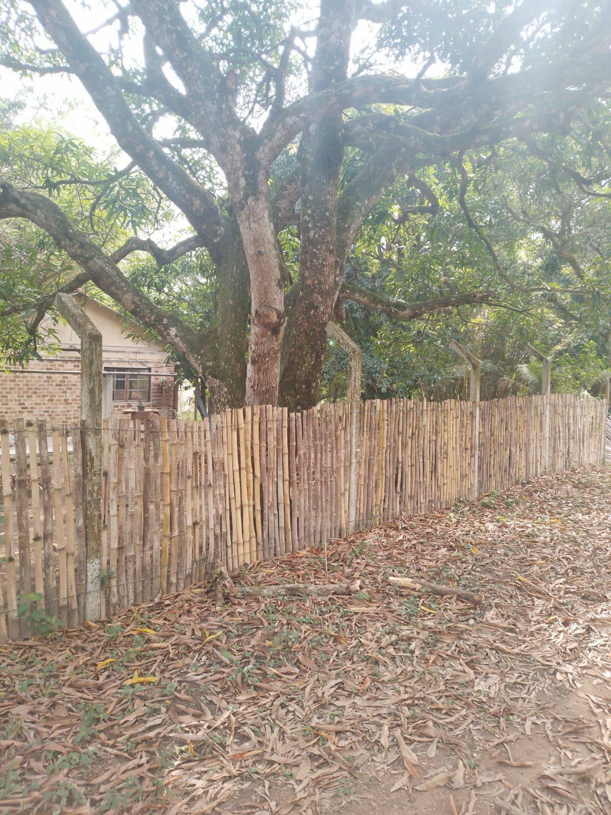 CS00010 - Sítio com Área 5.000mts 2  mais 3 terrenos e 1  lotes 60/61/62 em  Itaboraí, Rj.