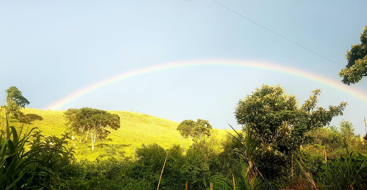 FA0003  - Oportunidade Exclusiva: Fazenda de Alto Padrão em Matias Barbosa – MG