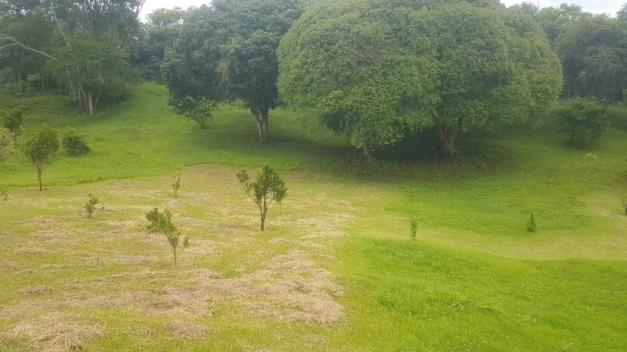 FA0003  - Oportunidade Exclusiva: Fazenda de Alto Padrão em Matias Barbosa – MG