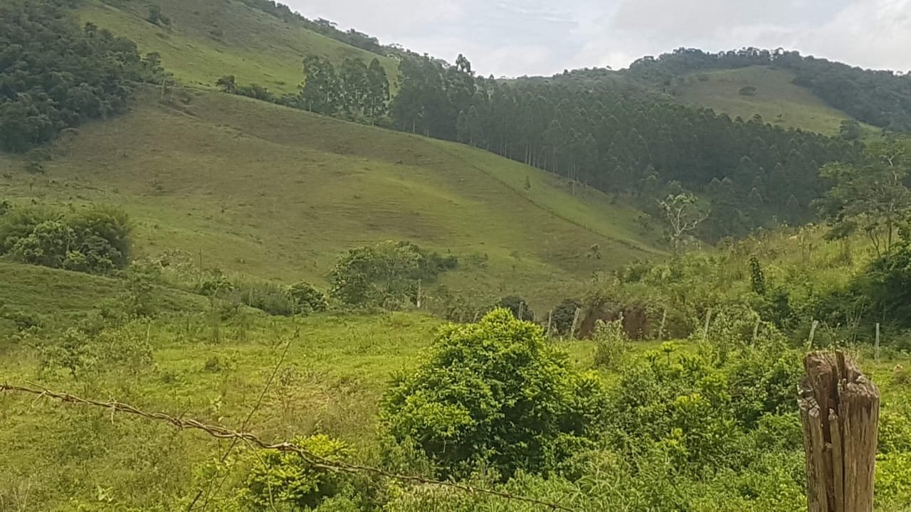 FA0003  - Oportunidade Exclusiva: Fazenda de Alto Padrão em Matias Barbosa – MG